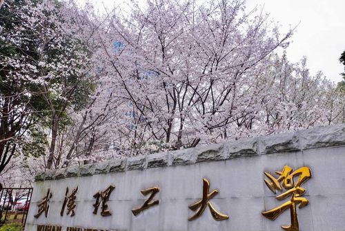 武汉桑拿店_桑拿武汉_武汉哪里有服务好的桑拿
