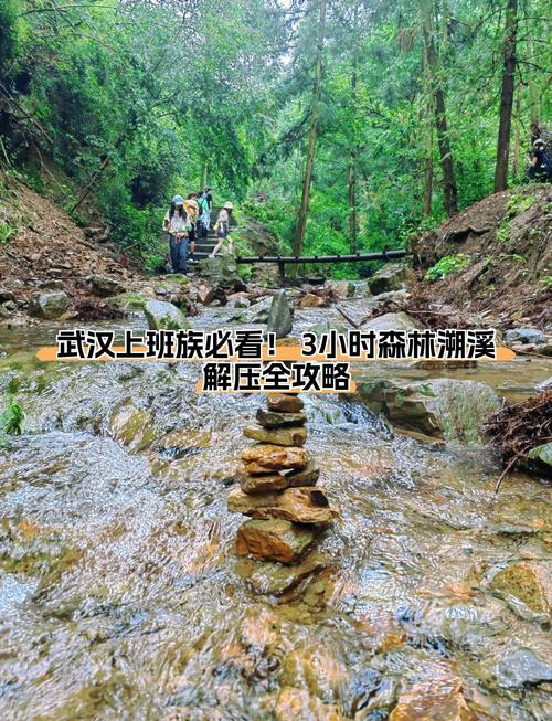 武汉会所体验_会所武汉_武汉会所推荐2020