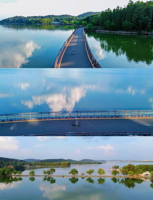武汉周末休闲去哪？东湖绿道骑行体验，告别两点一线的生活模式