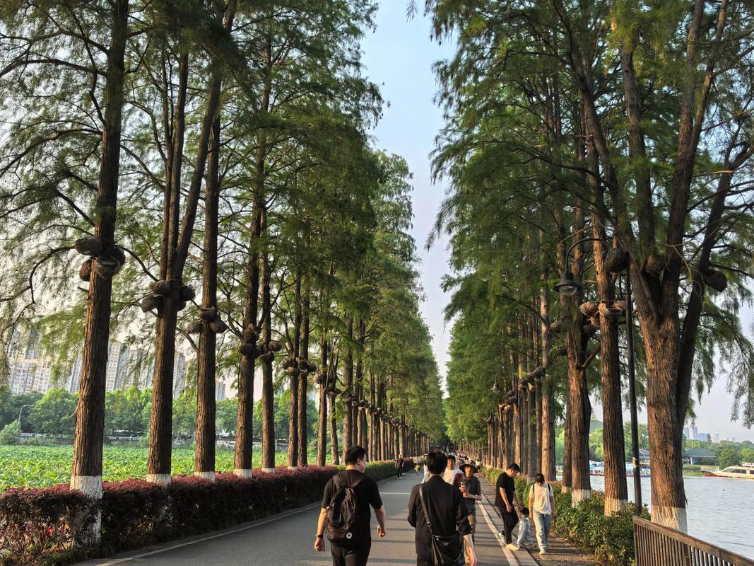 武汉休闲效果好不好_武汉休闲效果好不好_武汉休闲效果好不好